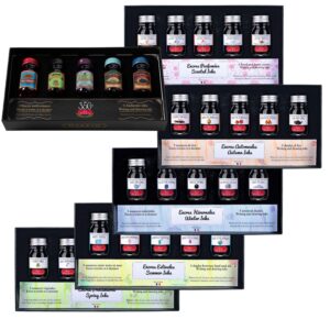 Produktfoto zu den 5er-Tintensets von Jacques Herbin / Product photo of Jacques Herbin's 5-color ink sets