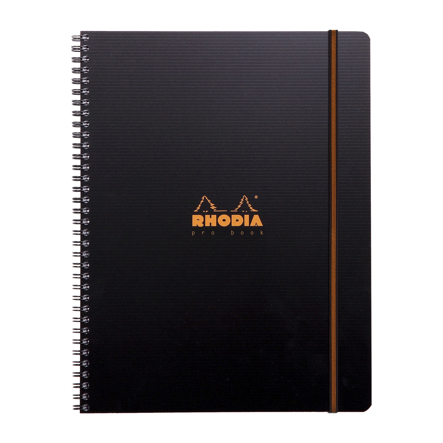 Produktfoto zum ctive ProBook mit Doppelspirale DINA4+ von Rhodia in der Produkt Lineatur liniert / Product photo for ctive ProBook with double spiral DINA4+ from rhodia in product ruling liniert (RH_119931C)